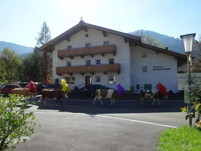 Ein allgemeiner Bergblick oder ein Berglick von der Pension aus