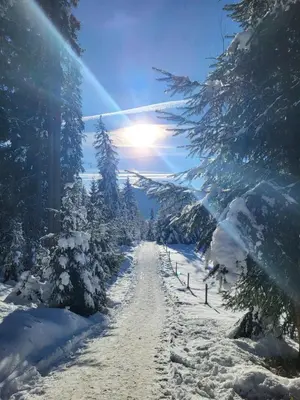 Pension Lärchenbrunn im Winter