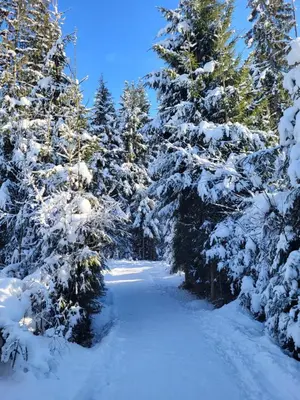 Pension Lärchenbrunn im Winter