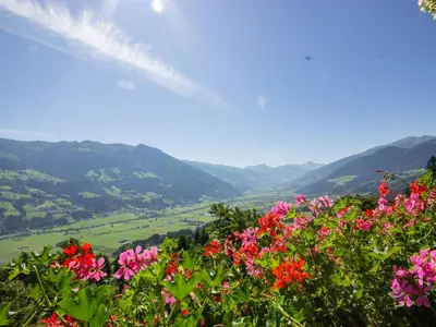 Naturlandschaft in der Nähe der Ferienwohnung
