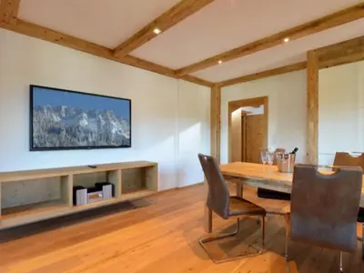 TV/Unterhaltungsangebot in der Unterkunft Appartements Pöllhof