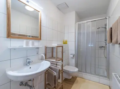 Ein Badezimmer in der Unterkunft Apartment Gossner