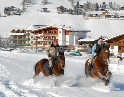 Gäste, die in der Unterkunft SkiJuwel Appartments Auffach - Wildschönau - Tirol übernachten