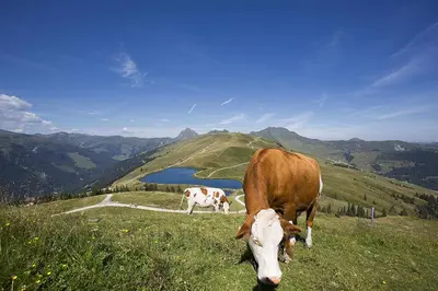 Naturlandschaft in der Nähe der Ferienwohnung