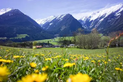 Naturlandschaft in der Nähe der Ferienwohnung