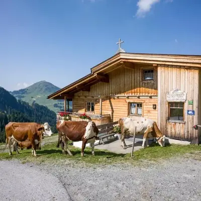 Alm-Appartement - Fam. Niedermühlbichler