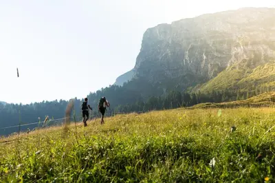 Naturlandschaft in der Nähe der Ferienwohnung
