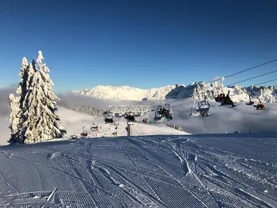 Alpenchalet 