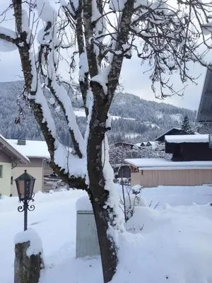 Appartements Strasser Angelika im Winter
