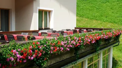 Ein Garten an der Unterkunft Haus am Wildbach