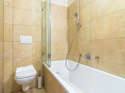 Ein Badezimmer in der Unterkunft Apartment Mittersill near Ski Bus & Kitzbühel