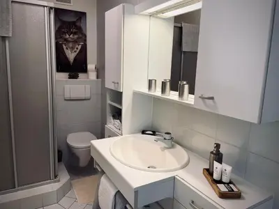 Ein Badezimmer in der Unterkunft Apartment in Neukirchen near Ski Lift