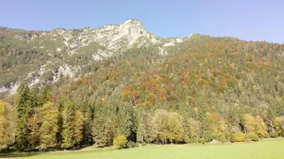 Naturlandschaft in der Nähe des Ferienhauses