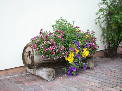 Ein Garten an der Unterkunft Alluring Apartment with Swimming Pool in Waidring Tyrol