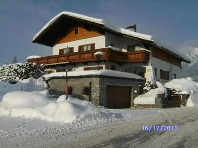 Moser im Winter
