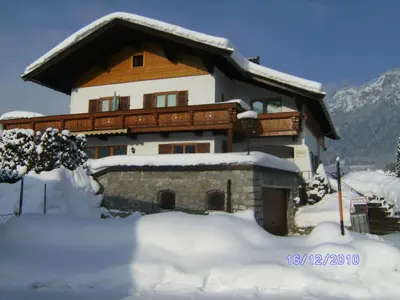 Moser im Winter