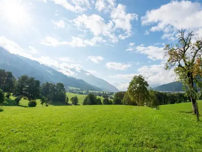Naturlandschaft in der Nähe der Ferienwohnung