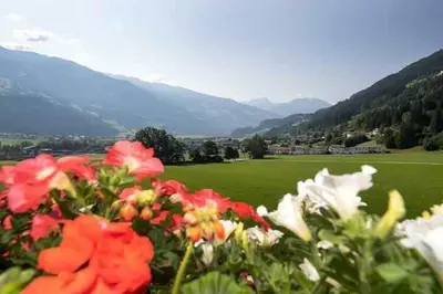 Naturlandschaft in der Nähe der Ferienwohnung