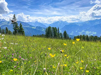 Naturlandschaft in der Nähe der Ferienwohnung