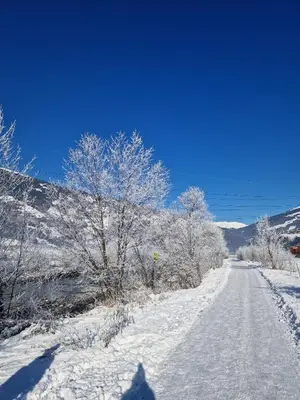 Chalet Schiestl im Winter