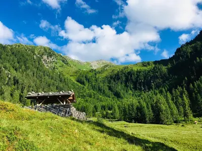 Naturlandschaft in der Nähe der Ferienwohnung
