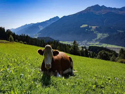 Naturlandschaft in der Nähe der Ferienwohnung