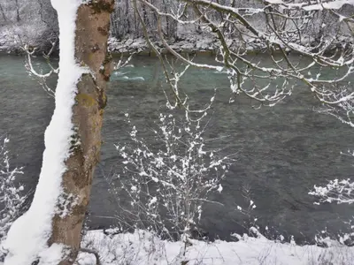 Naturlandschaft in der Nähe der Ferienwohnung