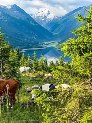 Naturlandschaft in der Nähe der Ferienwohnung