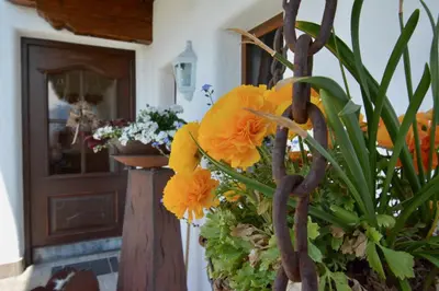 Ein Garten an der Unterkunft Appartement Oberschernthann