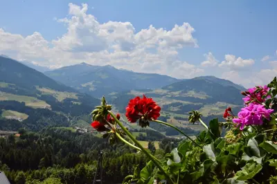 Naturlandschaft in der Nähe der Ferienwohnung