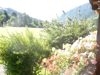 Naturlandschaft in der Nähe des Bauernhofs