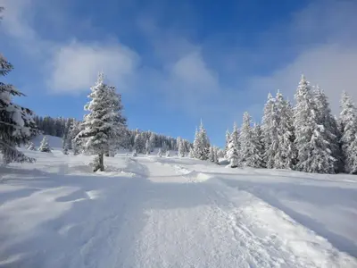 Grundriss der Unterkunft Skihütten LANG auf 1700 m in Hochkrimml, Zillertal Arena