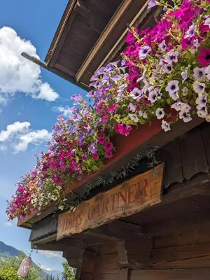 Ein Garten an der Unterkunft Haus Gartner appartement 6 - 8 personen