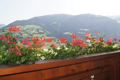Ein allgemeiner Bergblick oder ein Berglick von der Ferienwohnung aus
