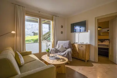 TV/Unterhaltungsangebot in der Unterkunft Chalet Grizzly