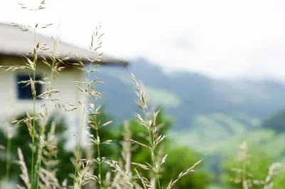 Naturlandschaft in der Nähe der Ferienwohnung