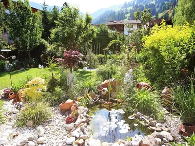 Naturlandschaft in der Nähe der Ferienwohnung