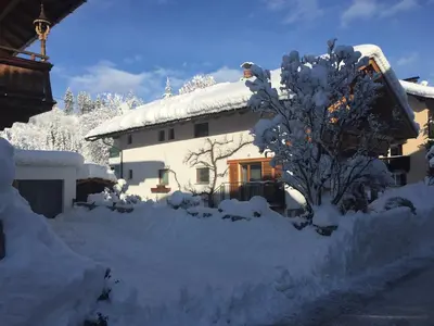 Apart Linde im Winter