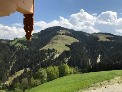 Naturlandschaft in der Nähe der Ferienwohnung