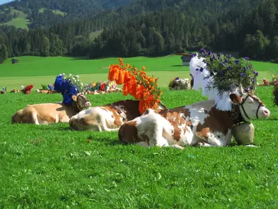 Tiere in diesem Bauernhof oder in der Nähe