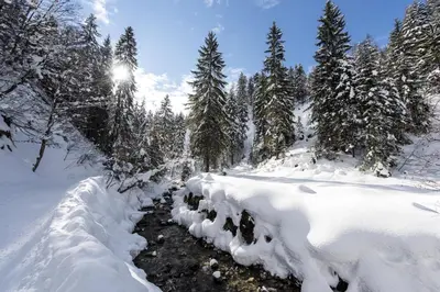 Alpenappartement Europa im Winter