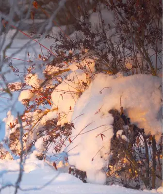 Pension Aloisia im Winter