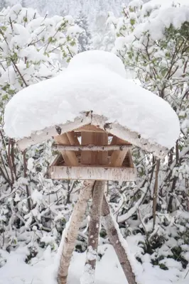 Pension Aloisia im Winter