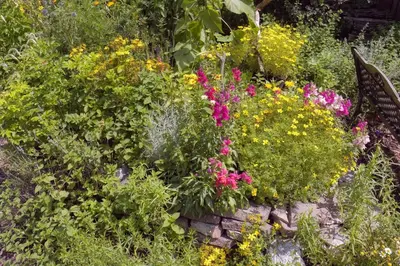 Ein Garten an der Unterkunft Pension Aloisia