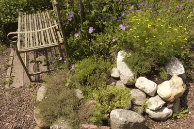 Ein Garten an der Unterkunft Pension Aloisia