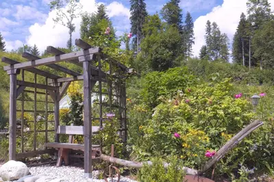 Ein Garten an der Unterkunft Pension Aloisia