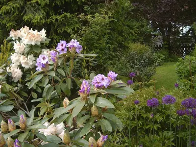 Ein Garten an der Unterkunft Landhotel Eva