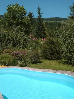 Der Swimmingpool an oder in der Nähe von Landhotel Eva