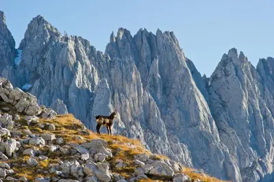 Ein allgemeiner Bergblick oder ein Berglick von der Pension aus