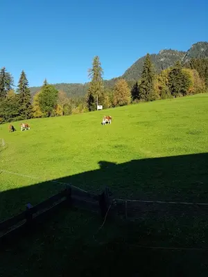 Naturlandschaft in der Nähe der Pension